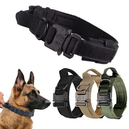 tractical dog collar